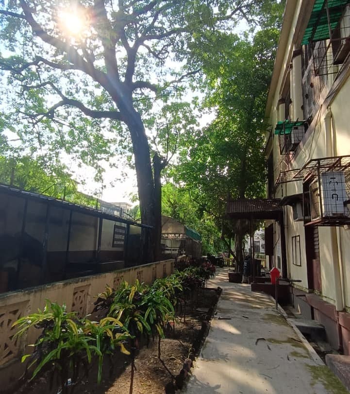 Scottish Church College Kolkata Campus photo 5